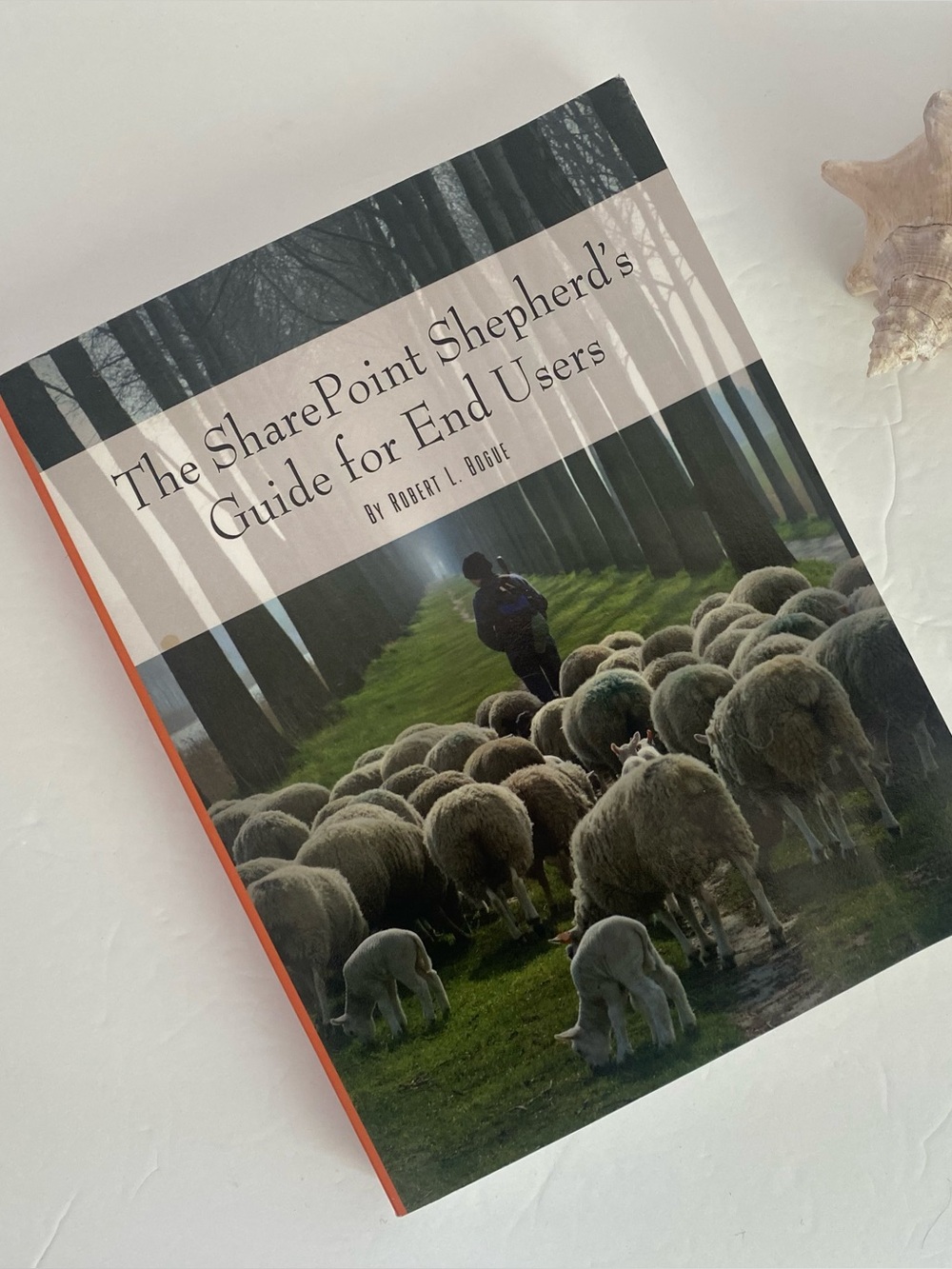 The Sharepoint Shepherd's Guide for End Users Paperback